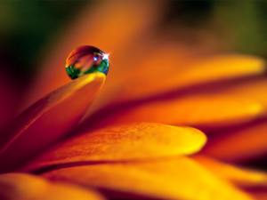 Normal_waterdrop_beauty